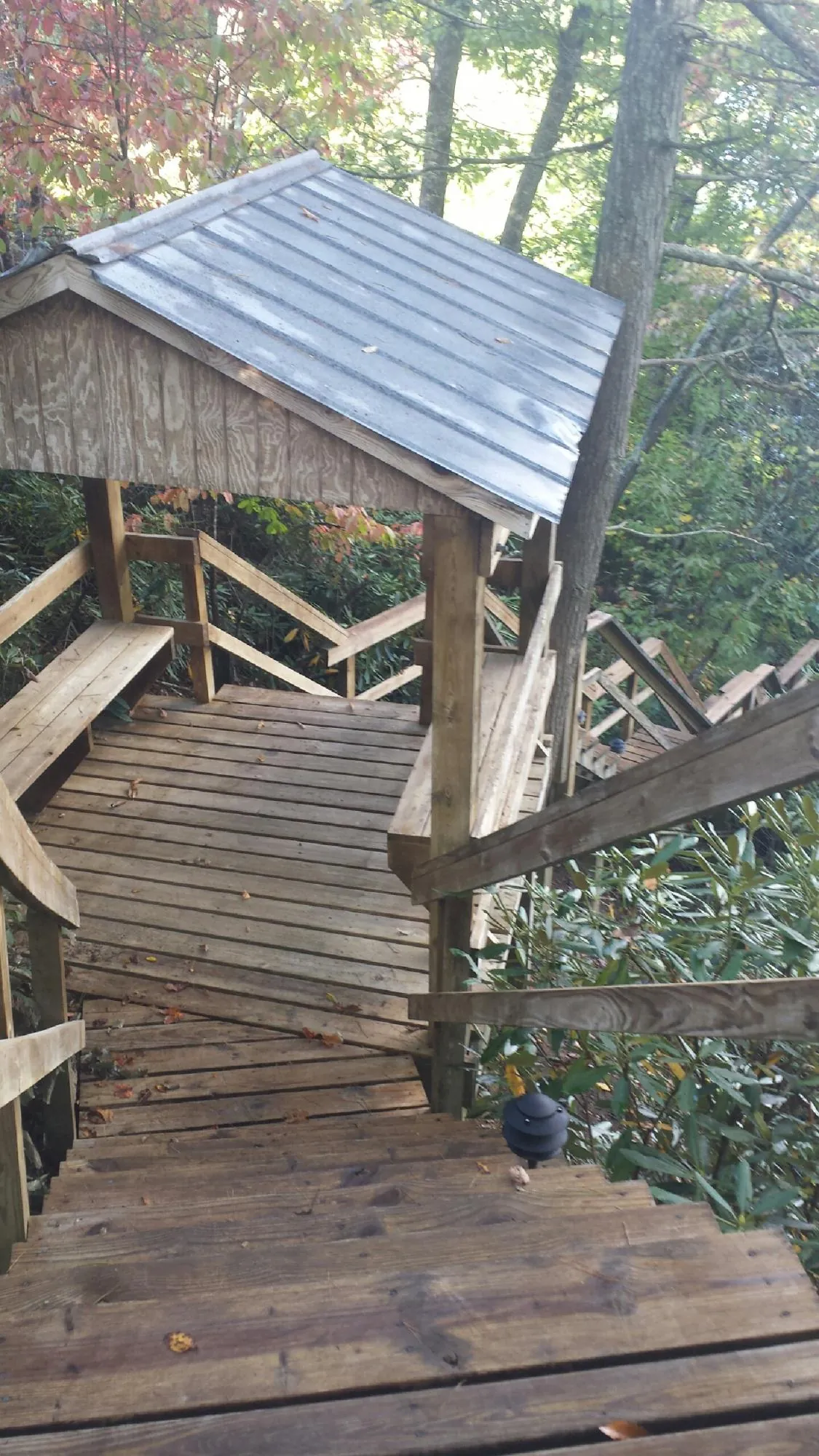 Metal roofed shelter over wooden steps on a wooded walkway — Skylight Repair & Installation work by our crew in Ahsahka