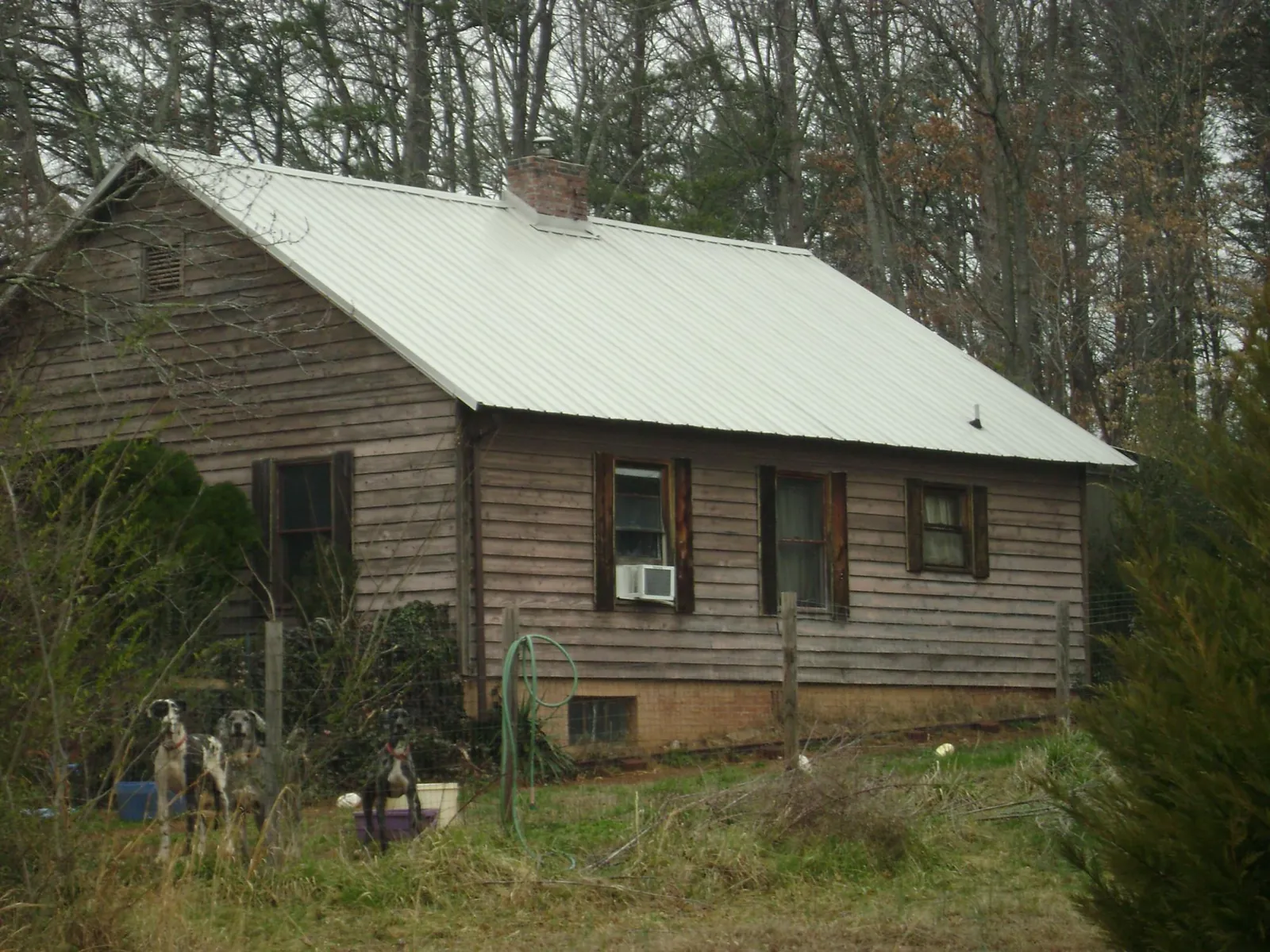 White metal roof on an old wood sided farmhouse, from a Metal Roof Installation job in Ahsahka